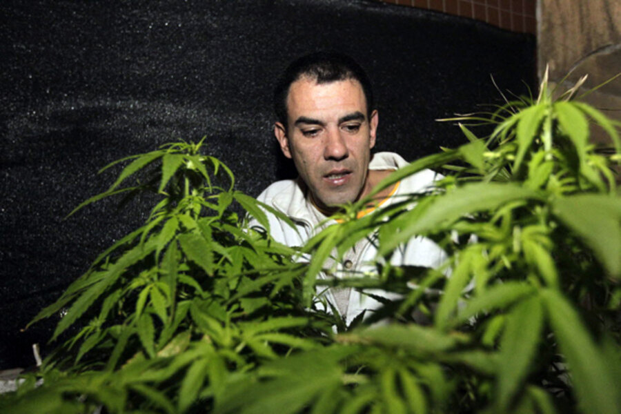 Uruguay's Marijuana Bill Faces Political, Economic Obstacles