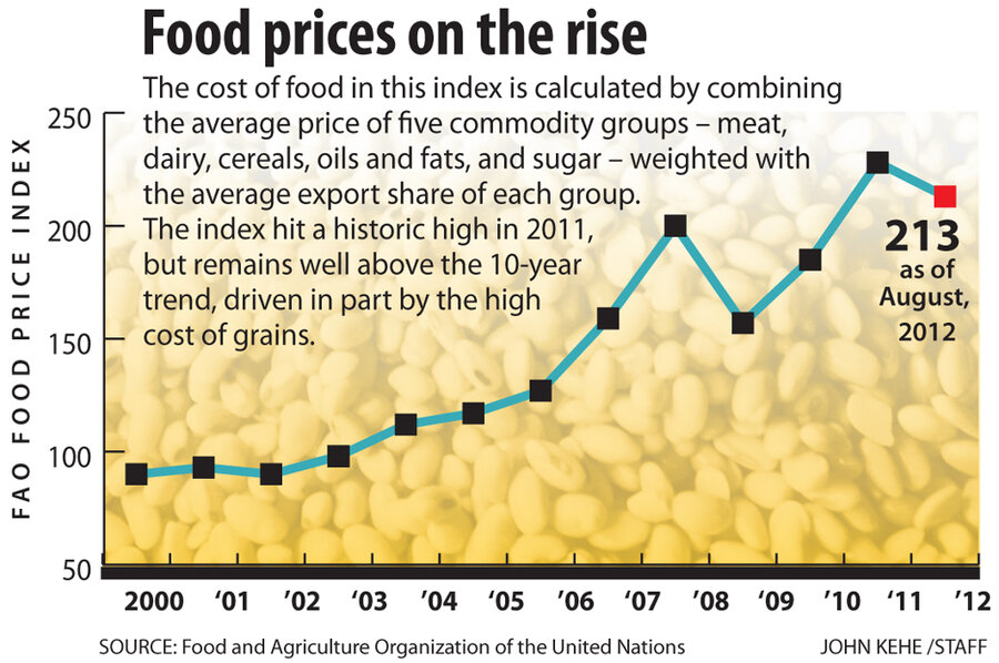 How rising food prices are impacting the world