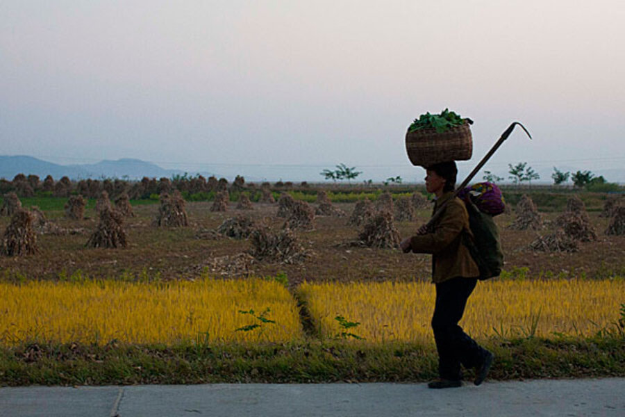 North Korea farm reforms First step to a market economy