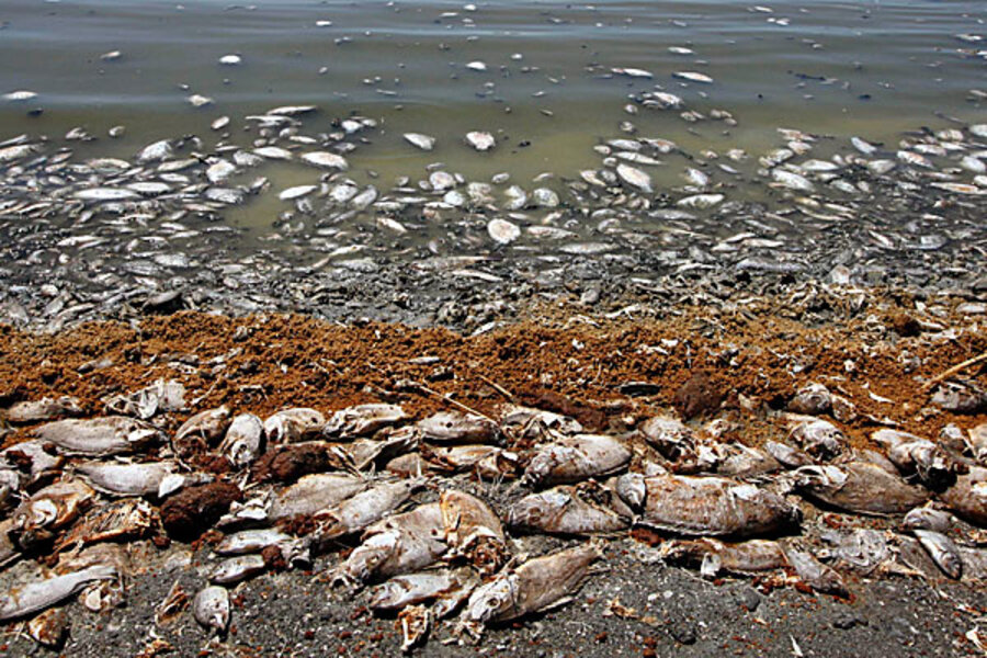 Image result for california salt lake pollution