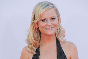 Amy Poehler Fake