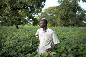 Four benefit help very farming\u0027 \u0027contract to ways the poor ...