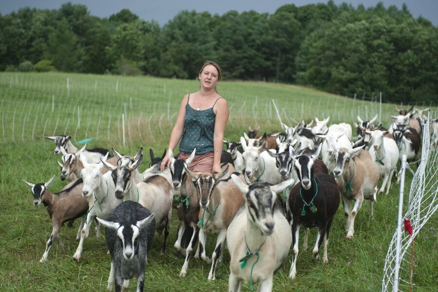 american goat society forms the rise of independent cheesemakers csmonitor american goat society forms the rise of independent cheesemakers csmonitor