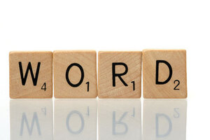 monity dictionary monity dictionary