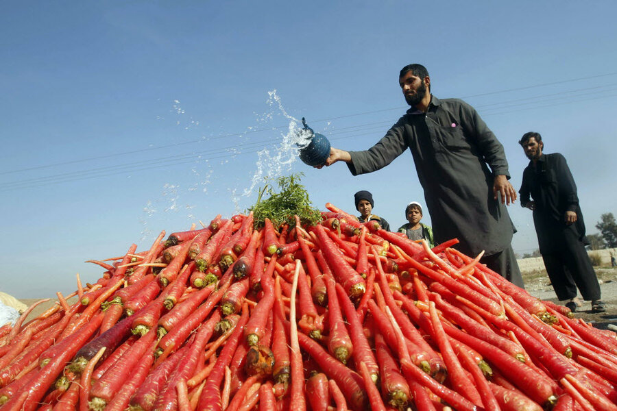 Where were carrots first cultivated?
