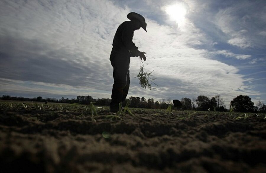 Immigration Reform Farm Worker Compromise Brings Bill A Step