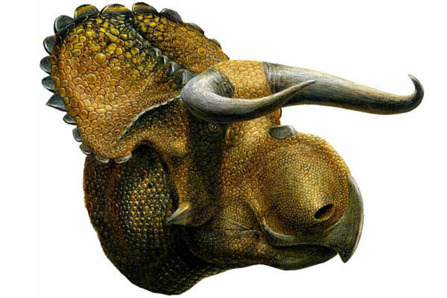 new dinosaur discovered 2019
