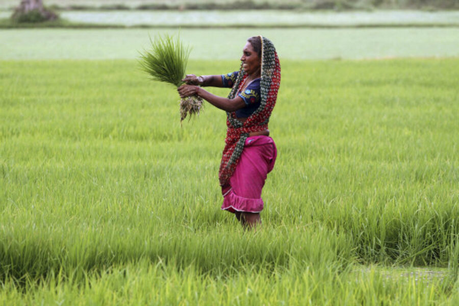 To combat hunger, give land rights to world's poor women