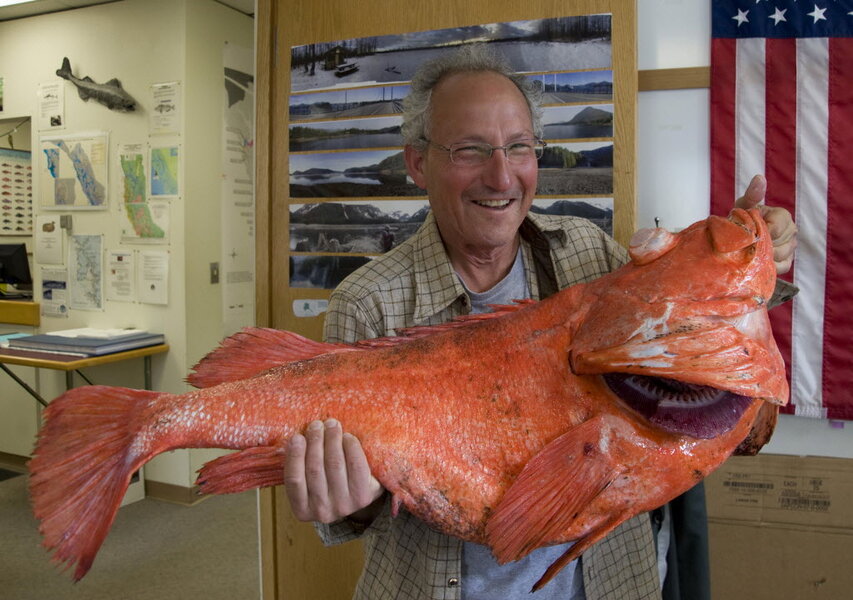 200yearold rockfish caught off Alaska coast