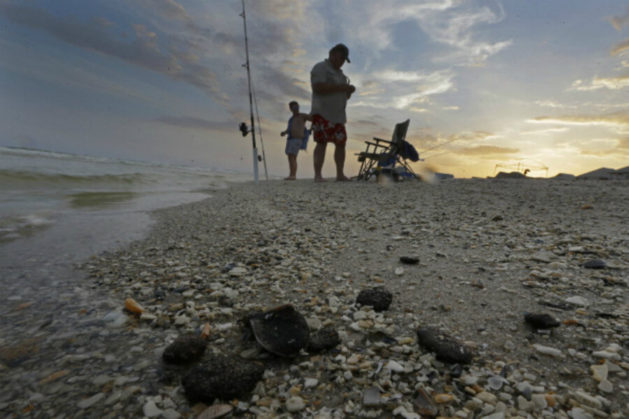 bp oil spill cleanup