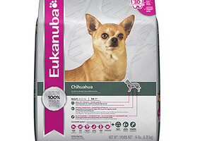 Iams chihuahua food review best sale