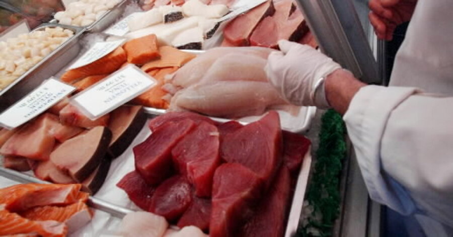 Why deep sea fish contain more toxic mercury than shallow water fish - CSMonitor.com