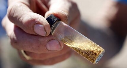 How trees drinking gold can help the mining industry 