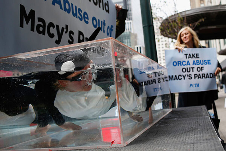 frame books photo free Thanksgiving Macy's stirs at parade animal SeaWorld float