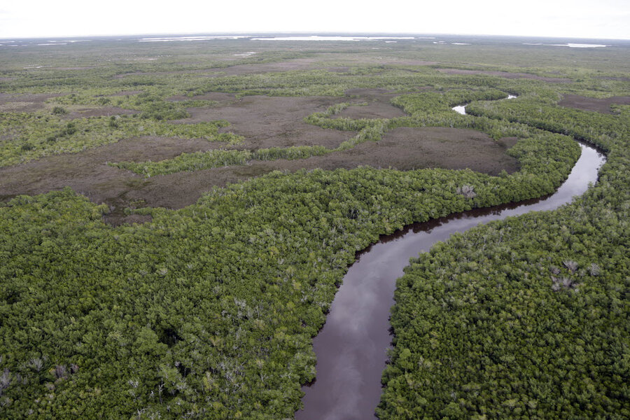 How many distinct habitats have been identified in Everglades National