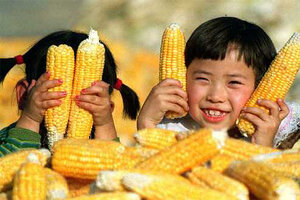 Did China Steal US Corn? Six Charged With Digging Up Bioengineered Seed ...