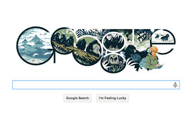 Why was Dian Fossey killed? - Vimarsana News