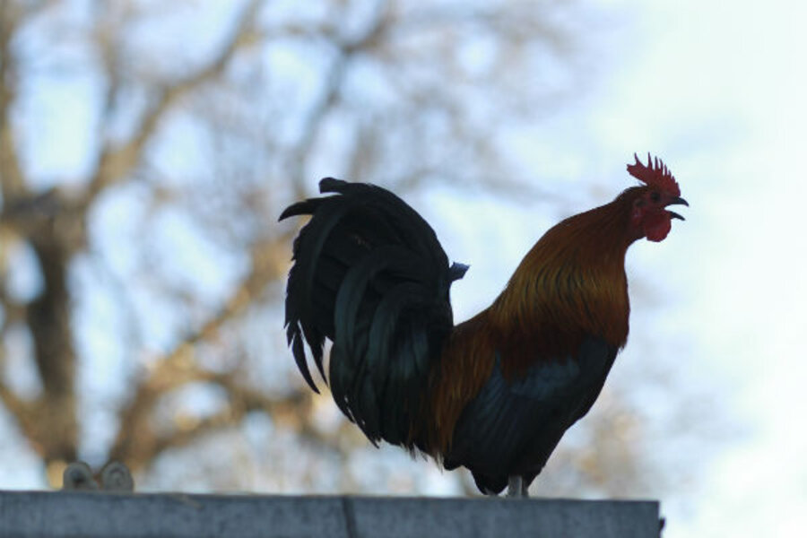 How often do we get on our kids' level to help solve problems ...