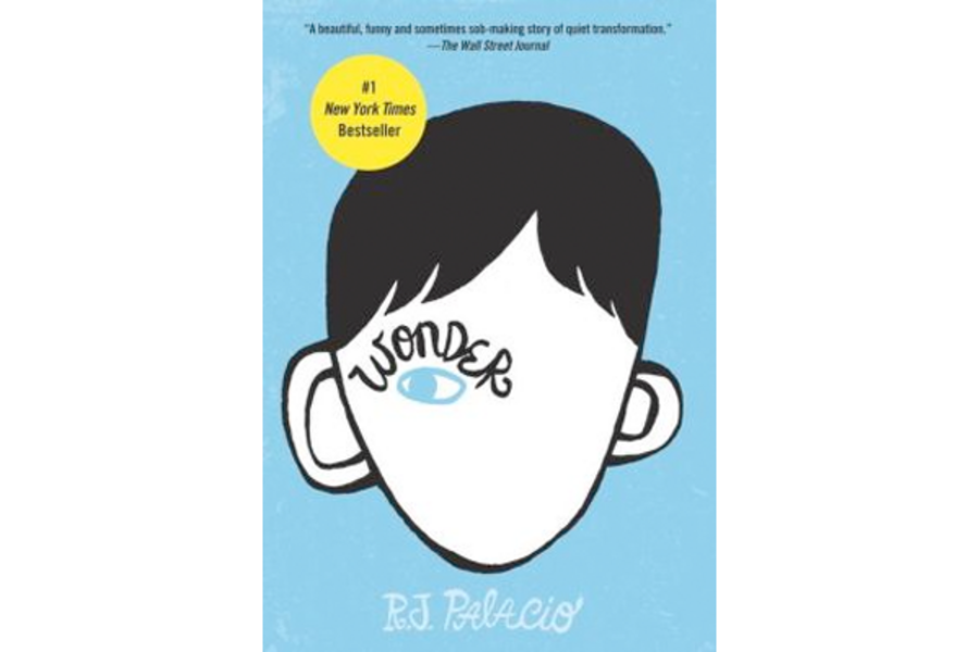 Wonder - free PDF, EPUB, FB3, RTF wonder-rj palacio pdf download