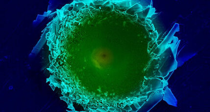 How an oyster could lead to improved body armor