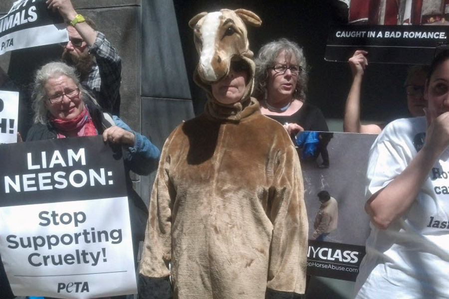 Liam Neeson's NYC home picketed by carriage horse foes