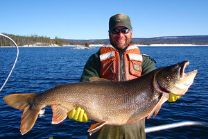 Yellowstone trout declining. Time to celebrate? - CSMonitor.com