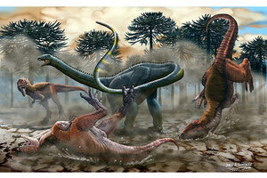 First-of-its-kind long-necked dinosaur found in South America -  CSMonitor.com