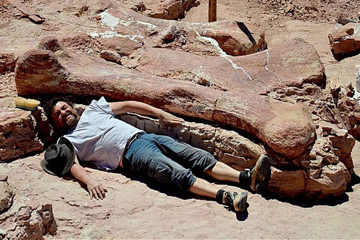 New dinosaur discovery: Is this really the 'world's biggest' dinosaur? -  CSMonitor.com