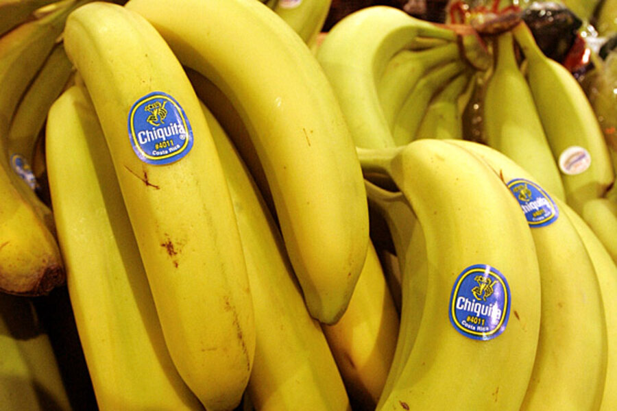 The Battle of Bananas: Conventional vs. Organic