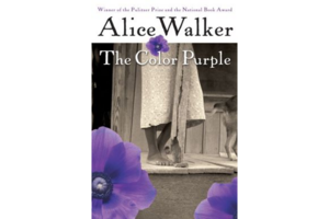 The Color Purple / The Temple of My Familiar by Alice Walker