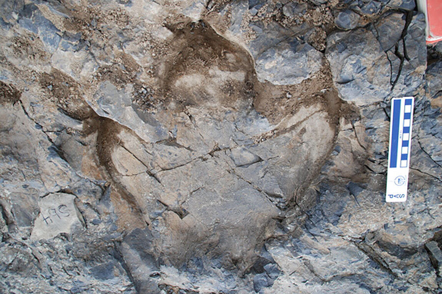 In Alaska, a spectacular trove of dinosaur footprints 