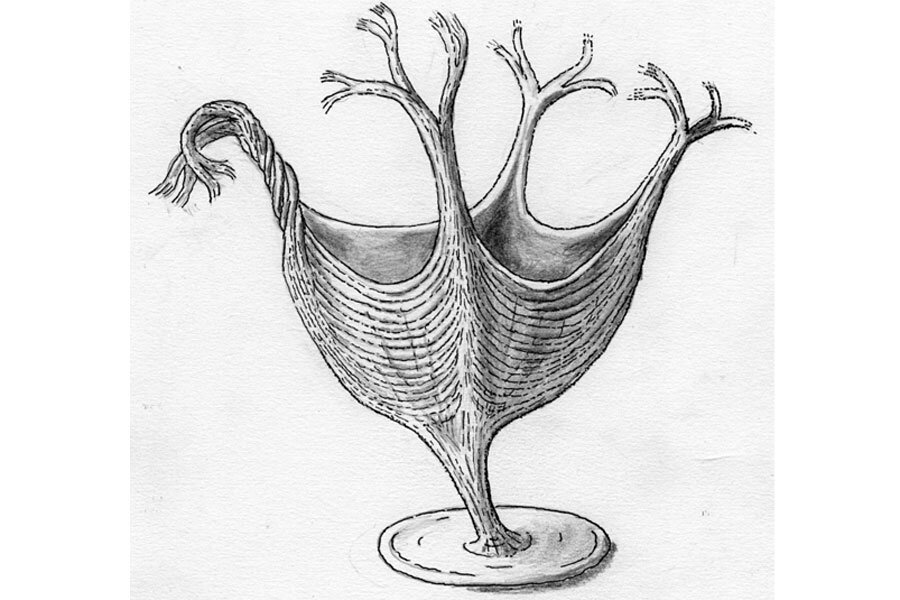 Paleontologists discover world's oldest known muscles Paleontologists discover world's oldest known muscles