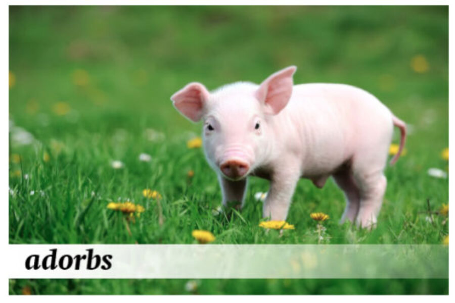 Oxford Dictionaries Are new words ‘throwing shade’ on real English