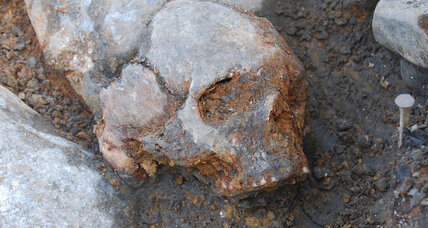 Where do Europeans come from? DNA hints at new branch on family tree.