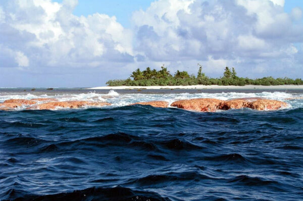 Obama Extends Vast Marine Reserve In Central Pacific Ocean