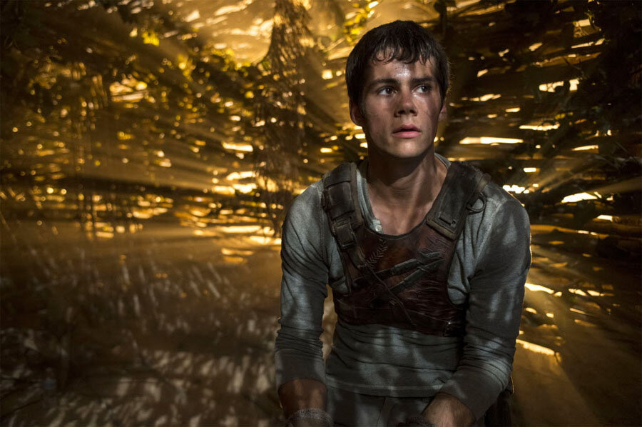 the maze runner  Maze runner, Maze runner trilogy, Maze