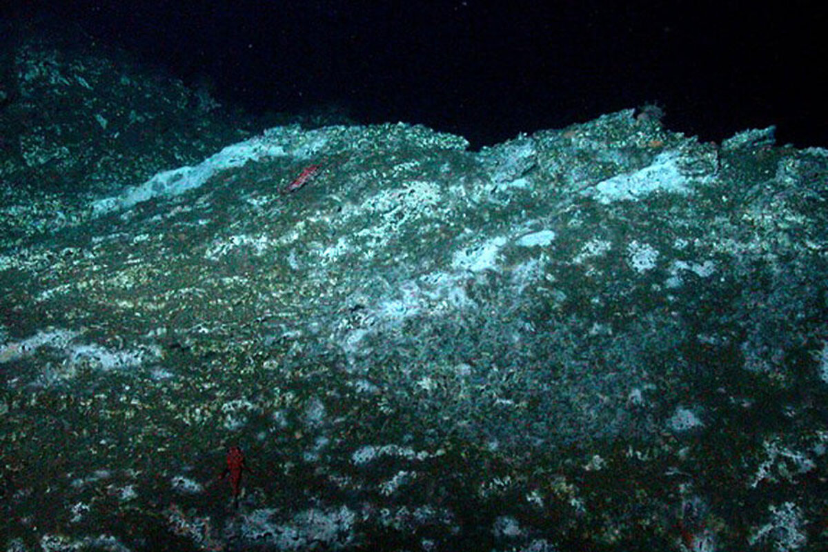 Life thrives inside rocks at bottom of sea, say scientists - CSMonitor.com, image size:1200x800