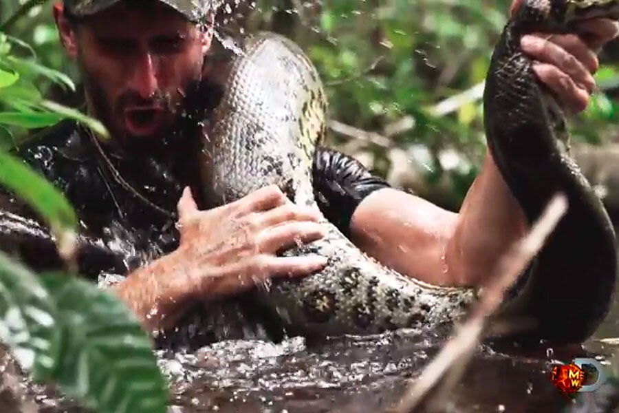 Man In Snake Proof Suit Eaten Alive By Anaconda Animal Cruelty
