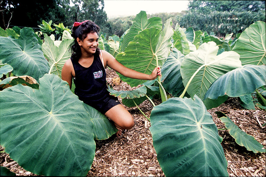 I wanted the taro to be strawberries - CSMonitor.com