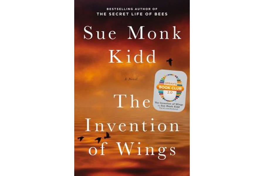 Сью монк кидд. Сью монк кид. sue monk kidd. сью монк кидд книги. the secret life of bees book.