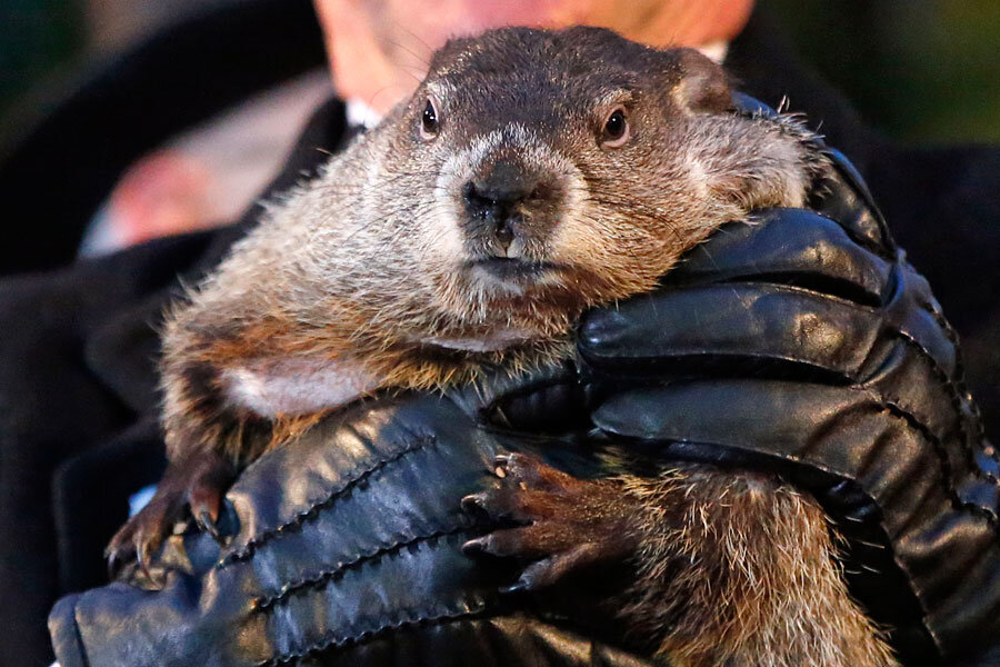 Are the computer models any better than Punxsutawney Phil? - CSMonitor.com