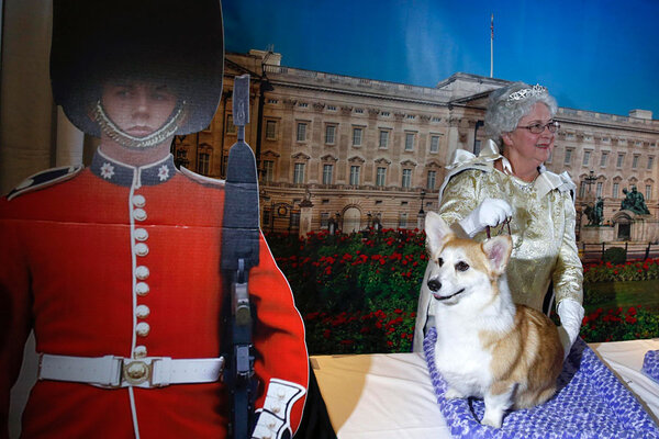 westminster dog show favorites