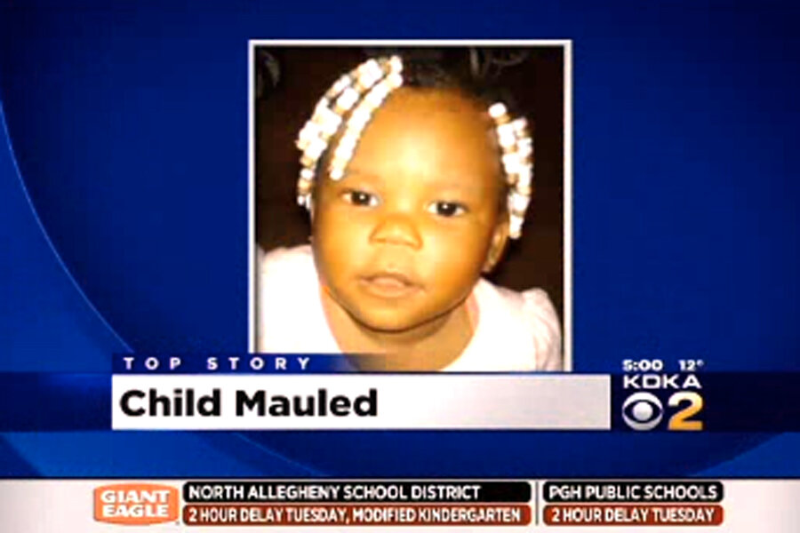 Pit bull kills twoyearold girl near Pittsburgh