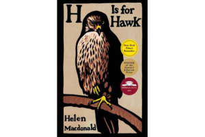 pbs h is for hawk pbs h is for hawk