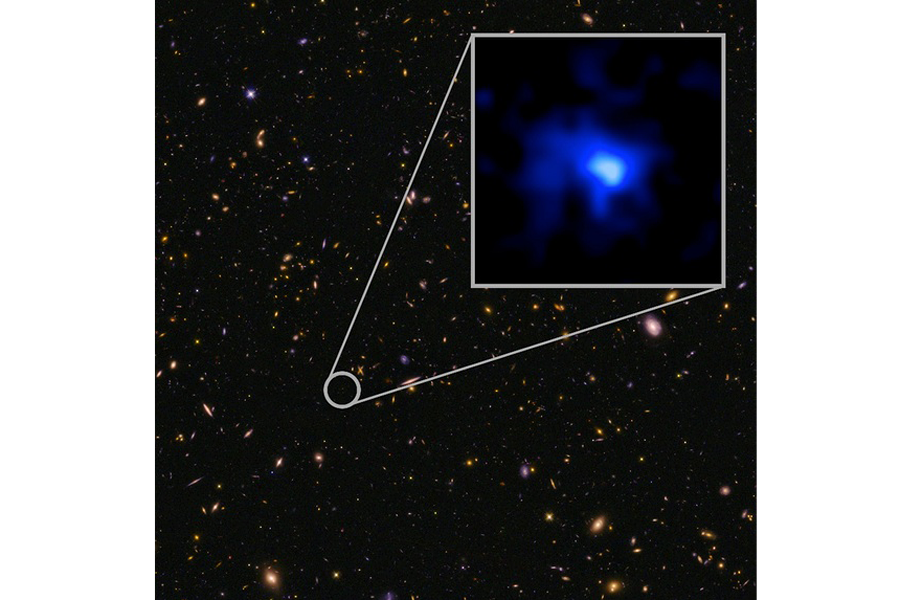 【絶版】THE GALAXY OF STRATS Messier 81, Bodes Galaxy, named for the eighteenth-century