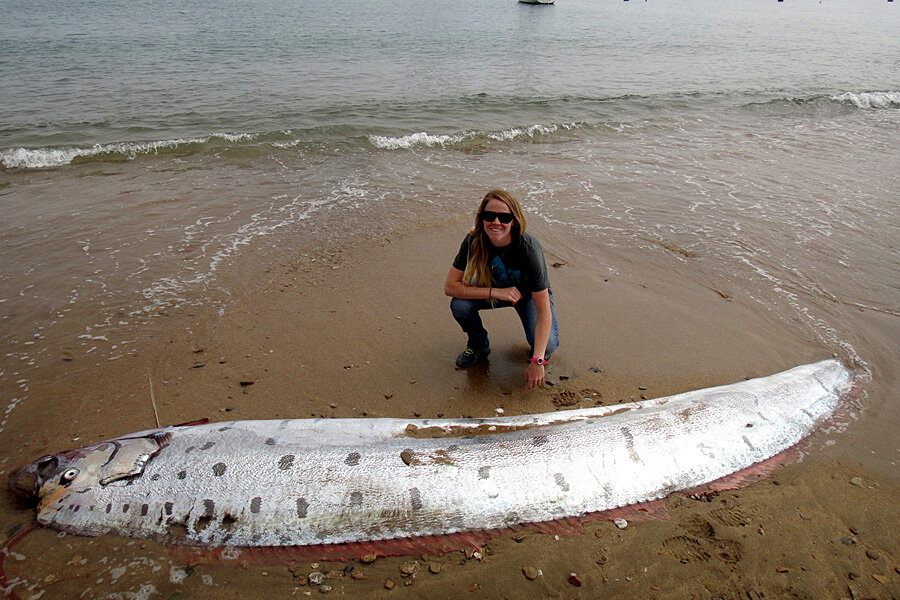 Strange Deep-Sea Creature Washes Up on California Beach