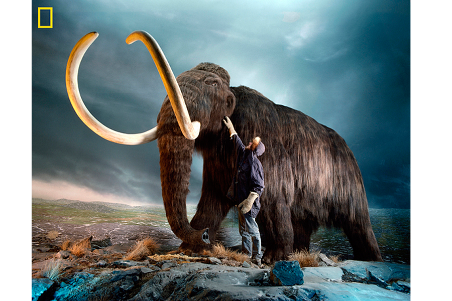 Colorado Mammoth on Instagram: Wooly had a blast filming a