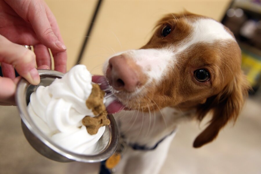 Happy National Ice Cream Day! Where to find free and discounted scoops ...