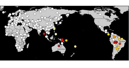 Scientists find genetic link between Native Americans and Pacific Islanders