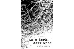 into the dark dark woods book into the dark dark woods book
